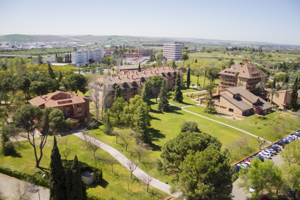 La Universidad de Córdoba abre expedientes a estudiantes por incumplimiento de las normas sanitarias