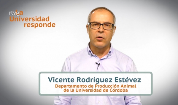 El profesor Vicente Rodríguez