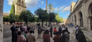 Instantánea del Paseo Matemático por la Mezquita guiado por el profesor Álvaro Martínez