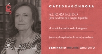 Celebrada la primera jornada del seminario online “Fulgor y vigencia de los romances de Góngora: homenaje a Antonio Carreira”