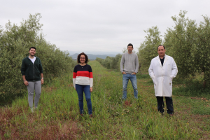 El equipo de investigación de la Universidad de Córdoba que trabaja en el proyecto Diverfarming