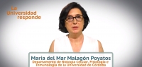 La catedrática María del Mar Malagón en 'La universidad responde'