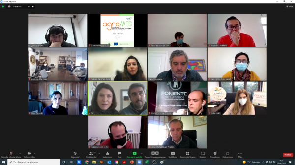 Imagen de los participantes en la reunión online