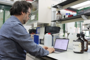 El investigador responsable del estudio en la UCO, José Die, en uno de los laboratorios del Campus de Rabanales
