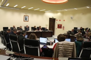 El Consejo de Gobierno de la Universidad de Córdoba ha celebrado hoy su última sesión de 2019.
