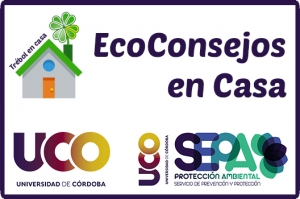 Ecoconsejos en casa: recomendaciones para ser más sostenibles en nuestro hogar durante el periodo de cuarentena