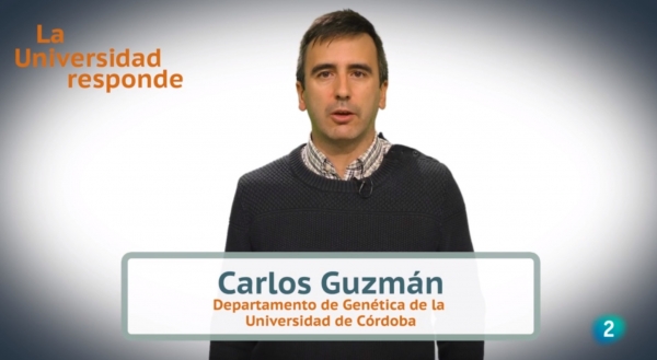El investigador Carlos Guzmán en el programa &#039;La Universidad Responde&#039;