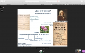 Clase de Botánica de la profesora Carmen Galán