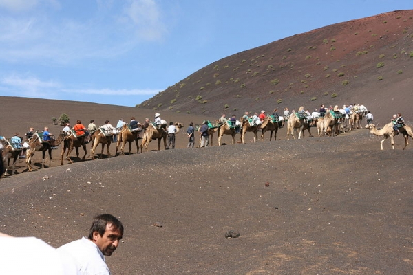 Paseo turístico en camello en el Parque Nacional de Timanfaya, Lanzarote / Frank Vincentz