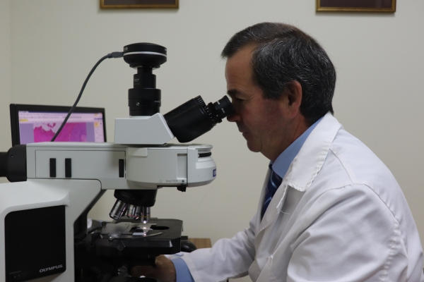 El investigador José Pérez Árévalo examina una muestra con el microscopio