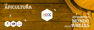 Banner del MOOC.