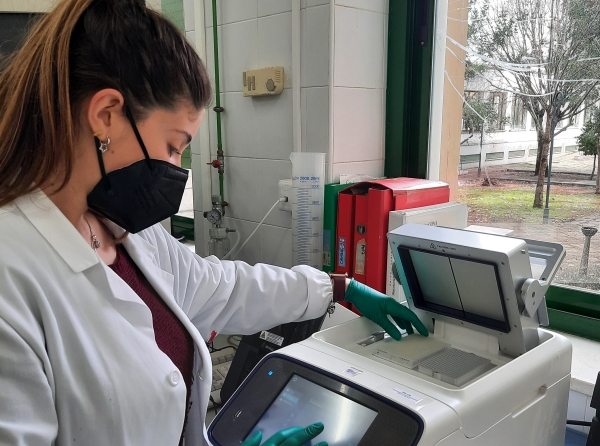 Los laboratorios de la  UCO colaborarán en la realización de pruebas PCR