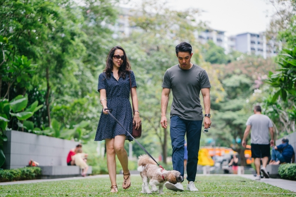 Una pareja de turistas pasea con su perro ( Imagen de mentatdgt en Pexels)