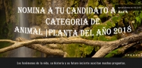 La UCO presenta las especies Ibis eremita y Siempreviva gigante de La Gomera al certamen Animal |Planta 