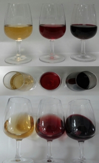 Se elaboran los primeros vinos de uvas cultivadas en la Sierra de Córdoba con el equipamiento del Grado en Enología de la UCO