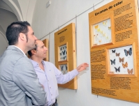 La exposición “La historia a través de las mariposas”, basada en investigaciones de la UCO , recorrerá varios municipios de la provincia