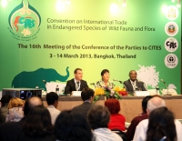 Margarita Clemente reelegida presidenta del Comité de Flora de la CITES