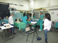 Médicos de urgencias se entrenan en el Clínico Veterinario para atender emergencias sanitarias