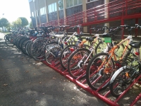 Completada la adjudicación de bicicletas del Programa “A la UCO en Bici”. 