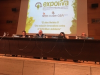 Presentación del olivo Vertirés en el marco de actividades de Expoliva 2017