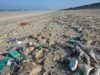 Aspecto de unas playa con restos de contaminacin en la arena 