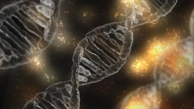 imagen de una cadena de ADN
