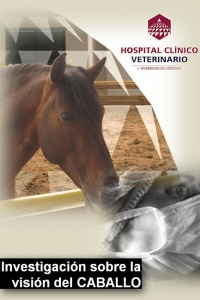 Investigación del Hospital Clínico Veterinario sobre la visión del caballo 