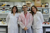 María Isabel López, Francisco José Romero y Dolores Esquivel, del Instituto de Química Fina y Nanotecnología 