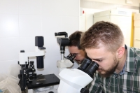 Dos de los autores del artículo analizando una muestra en el laboratorio.