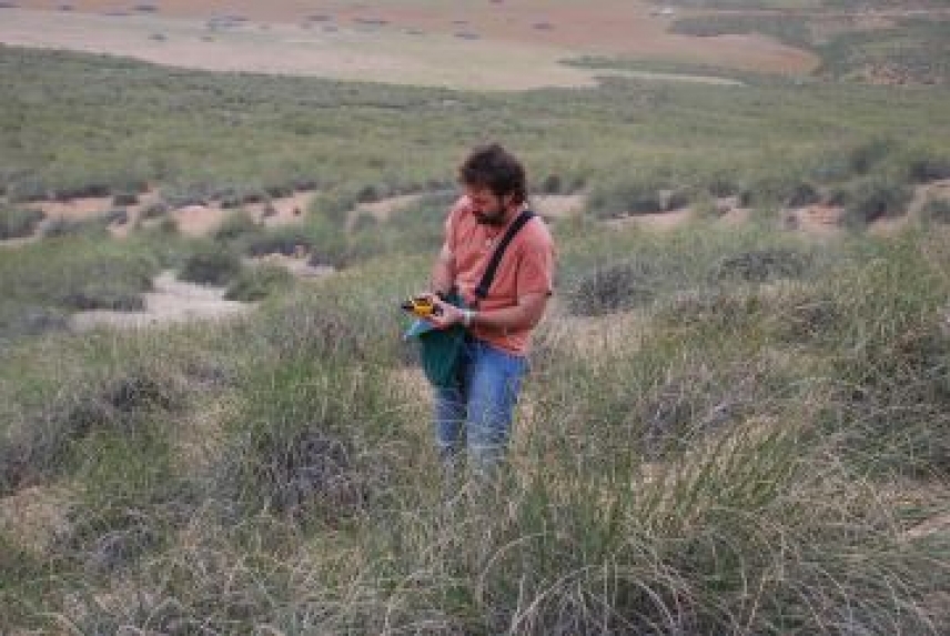 El aumento de aridez disminuye la abundancia y diversidad de los microbios del suelo en las zonas áridas