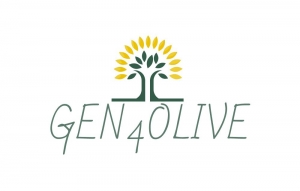 Andalucía lidera el proyecto europeo Gen4Olive para acelerar el aprovechamiento de los recursos genéticos del olivo