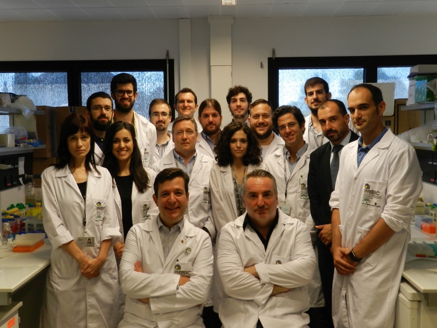 Investigadores del IMIBIC, UCO y Reina Sofía lideran un proyecto Caixaimpulse para validar un nuevo biomarcador para el cribado del cáncer de próstata