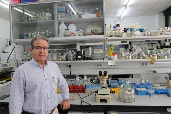 El investigador del grupo de Biotecnología y farmacognosia vegetal de la UCO, José Luis Caballero, en el laboratorio